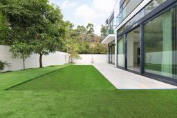 Whitesands image 6