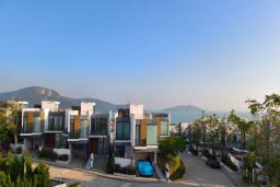 Whitesands image 7